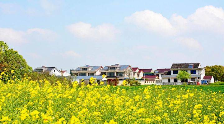 河南焦作市發文推進農村人居環境整治、農村污水治理、黑臭水體治理